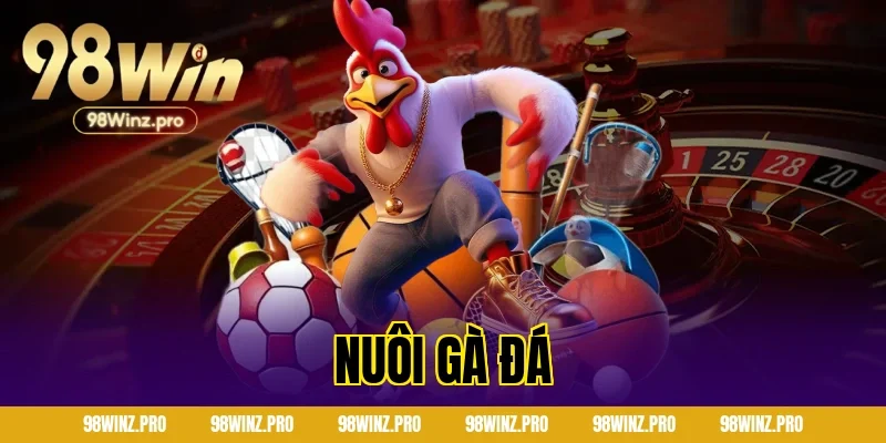 nuôi gà đá